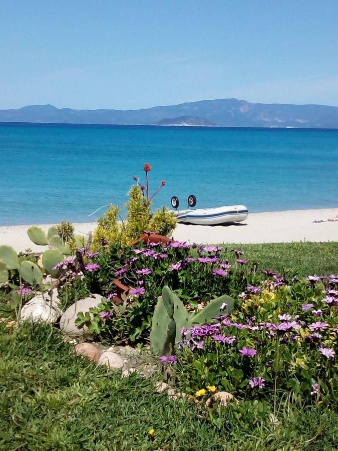 Cozy maisonette in Pefkochori Chalkidiki Exteriör bild