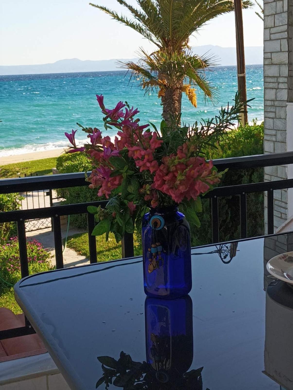 Cozy maisonette in Pefkochori Chalkidiki Exteriör bild