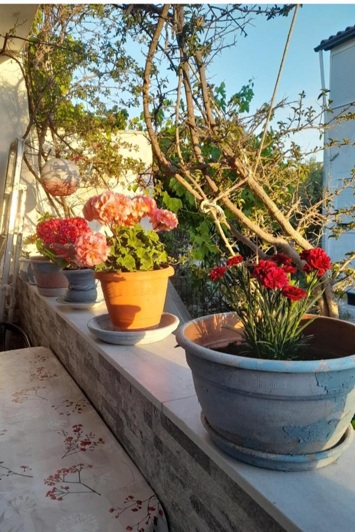 Cozy maisonette in Pefkochori Chalkidiki Exteriör bild